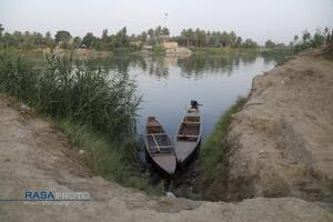 پیاده روی زائران اربعین حسین (ع) در طریق العلما