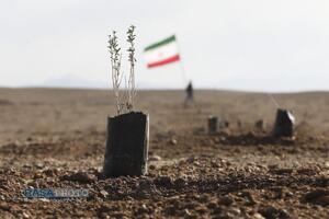 غرس ۶۵۰۰ نهال به یاد رهبر شهید انقلاب و شهدای جنگ تحمیلی سوم