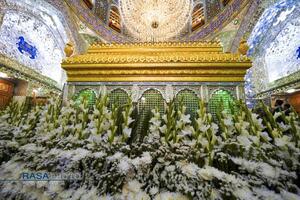 گل‌آرایی ضریح مطهر علوی در آستانه عید سعید غدیر