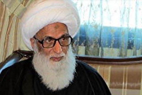آیت الله بشیر نجفی کی جوانوں کو اسلامی ثقافت پرتوجہ کرنے کی تاکید