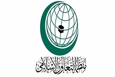 اسلامی تعاون تنظیم نے ٹرمپ کے صدی معاملے اور امن منصوبہ کو مسترد کردیا