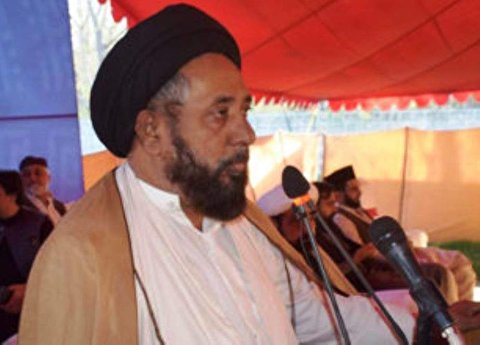 زائرین کے حوالے بعض سیاستداں اور ٹی وی چینلز کا انداز افسوسناک ہے / مکتب تشیع مضبوط ترین مسلک ہے