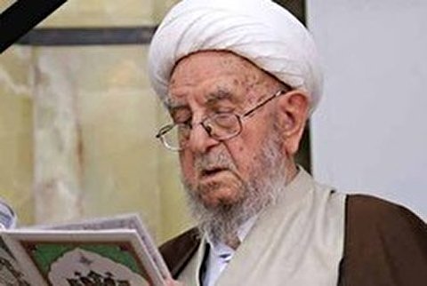 علامہ ابراہیم امینی کی وفات پر وفاق المدارس الشیعہ پاکستان کا اظہار تعزیت