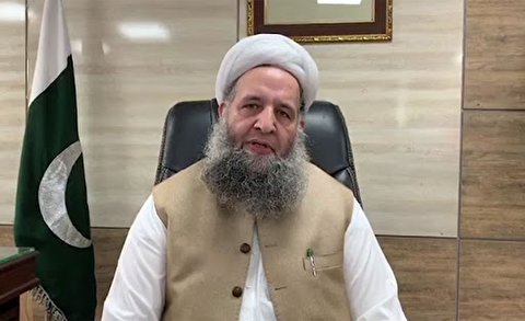 پاکستانی وزیر کا انکشاف : مقدس ہستیوں کے بارے میں توہین آمیز مواد اسرائیلی ایجنسی خاص منصوبے کے تحت انجام دے رہی ہے