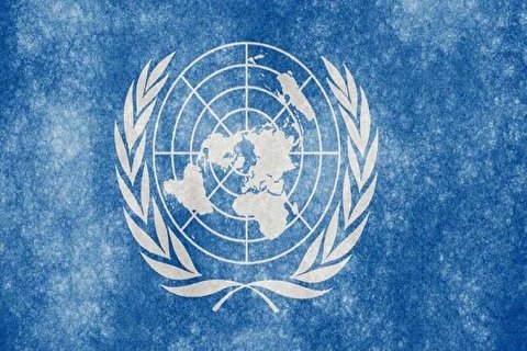 حکومت ھند پر اقوام متحدہ کی کڑی نکتہ چینی